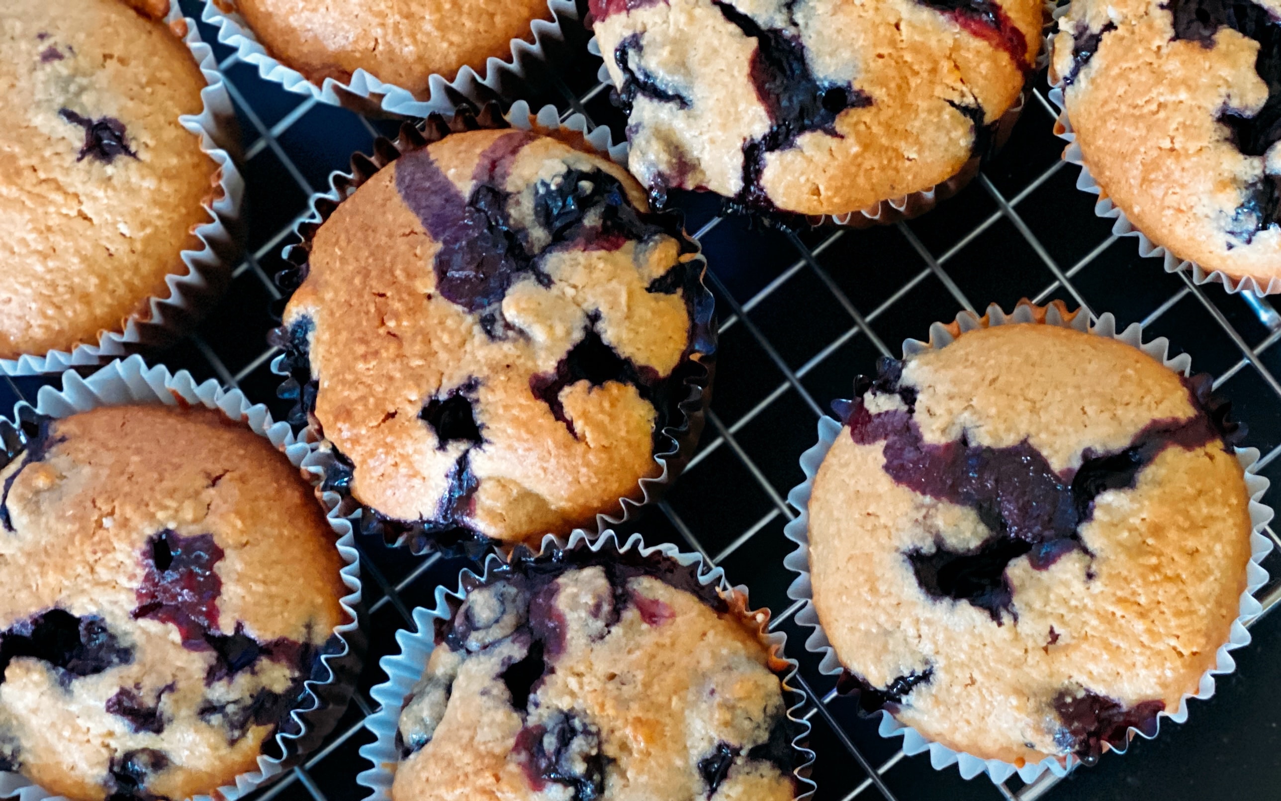 Blueberry Muffin